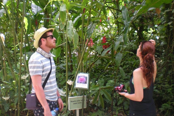 Best of Both Worlds: St. Lucia Land and Sea Adventure to Soufriere photo 5