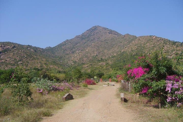 Guided Tiruvannamalai Tour & Arunachala Trek: Temple, Ashram & Girivalam photo 1