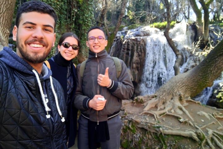 Day Trip to Morocco's Middle Atlas: Fez to Ifrane, Azrou & Cedar Forests photo 1