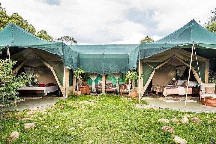 Four-Day Maasai Mara and Lake Nakuru Safari: Mid-Range Game Drives from Nairobi photo 4