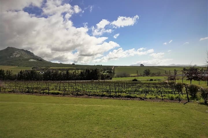 Cape Winelands Day Tour: Stellenbosch, Franschhoek & Constantia Wine Routes photo 4
