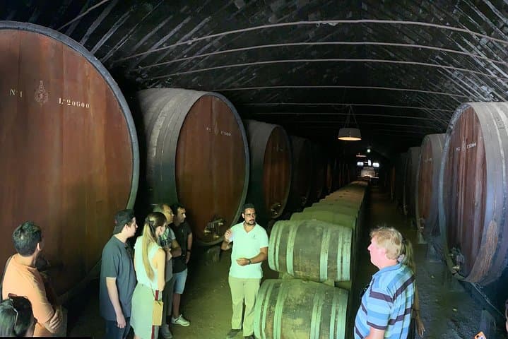 Setúbal Wine Tour: Moscatel Tasting & Two Historic Wineries from Lisbon photo 5