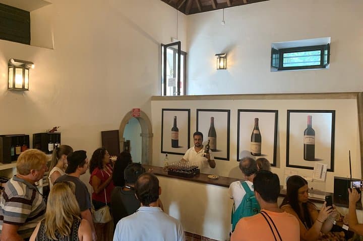 Setúbal Wine Tour: Moscatel Tasting & Two Historic Wineries from Lisbon photo 6