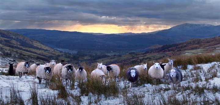 Private Full-Day Lake District Tour: Windermere, Honister Pass & Castlerigg photo 2