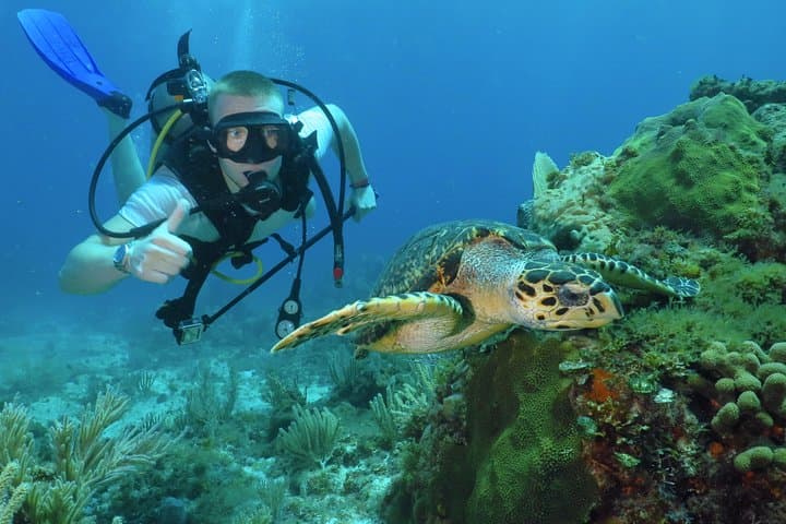 Beginner Scuba at Cancun's Underwater Museum & Manchones Reef photo 3
