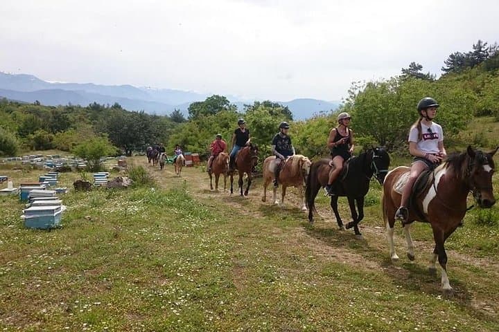 Horseback Riding to Syedra Ruins: 3-Hour Alanya Trail Ride photo 2