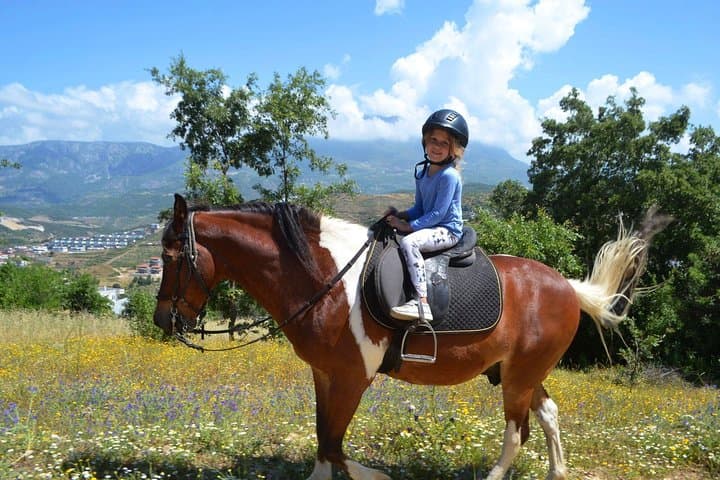 Pine-Forest Horseback Ride in Bodrum: 2-Hour Guided Trail with Hotel Transfer photo 5