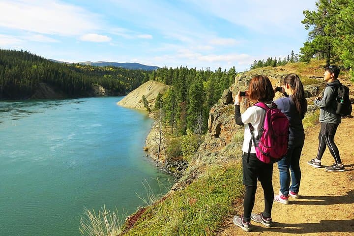 Arctic Day Half-Day: Miles Canyon Hiking Tour from Whitehorse