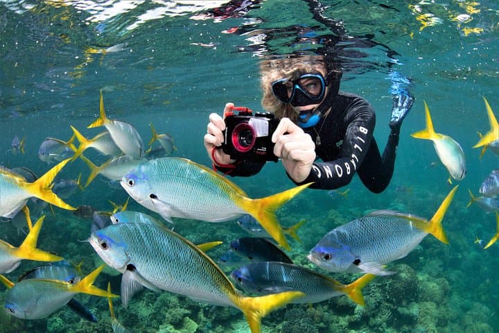 Sunlover Moore Reef Pontoon: Cairns Great Barrier Reef Cruise & Snorkel Experience photo 4
