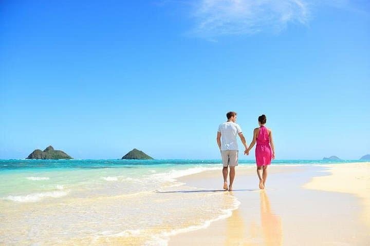 Private Windward Oahu Tour: Hanauma Bay, Diamond Head & Kahala Mansions