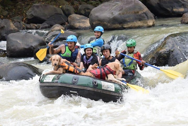 Elo River Rafting Near Magelang: Beginner-Friendly Java Rapids photo 2