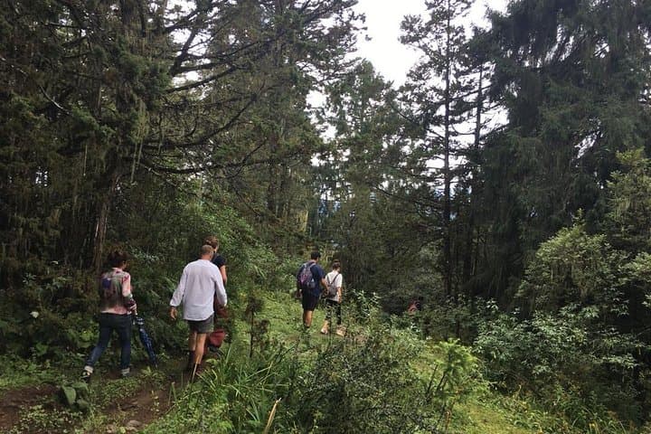 Bhutan 8-Day Cultural Tour & Bumdrak Trek — Paro, Punakha & Phobjikha Meadow Camping photo 6