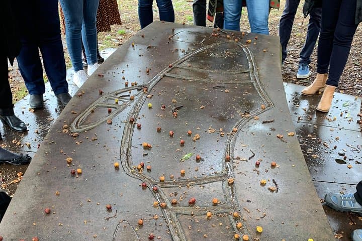 Dreamtime Walk: The Rocks Aboriginal Dreaming Tour in Sydney Harbour photo 5