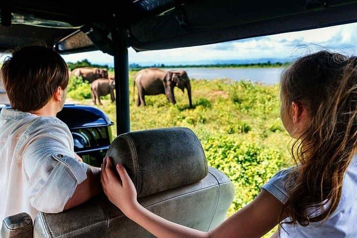 Udawalawe National Park Private Half-Day Safari with Elephant Transit Home Visit photo 3