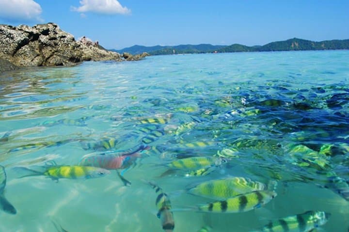 Phi Phi Islands Speedboat Day Tour from Krabi: Snorkel, Beaches & Maya Bay Sights photo 2