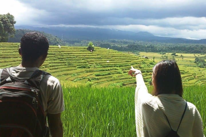 Kastala Trek: Tenganan Jungle, Rice Terraces & Tirta Gangga Day Trek photo 2