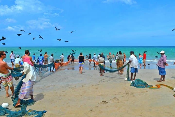 Private Day Tour: Sigiriya to Trincomalee — Snorkel Pigeon Island & Nilaveli Beaches photo 2