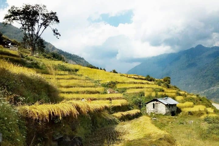 Annapurna Circuit 17-Day Trek: Thorung La, Manang & High Himalayan Valleys photo 6