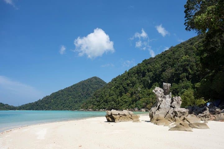 Surin Islands Snorkeling Escape from Khao Lak: Day Trip to Pristine Coral Reefs photo 2