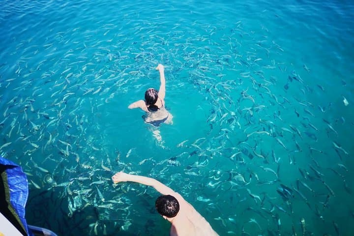 Pula Glass-Bottom Boat Morning Panorama & Swim with Fish photo 5