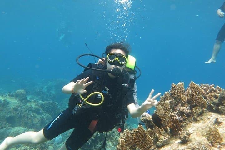 Discover Mun Island: Scuba Diving in Nha Trang Bay photo 2