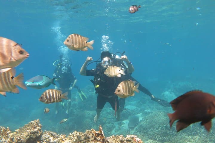 Discover Mun Island: Scuba Diving in Nha Trang Bay photo 6