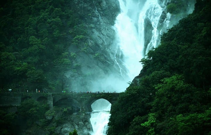 Dudhsagar Falls Jeep Safari: Day Trip to Mollem National Park from Goa photo 4