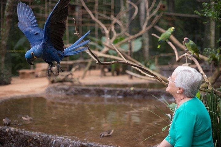 Itaipu Dam, Bird Park & Brazilian Iguassu Falls Full-Day Tour from Puerto Iguazú