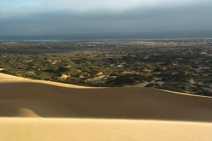 Sandwich Harbour Sunset Photography Tour: Namibia Dunes & Flamingos photo 2