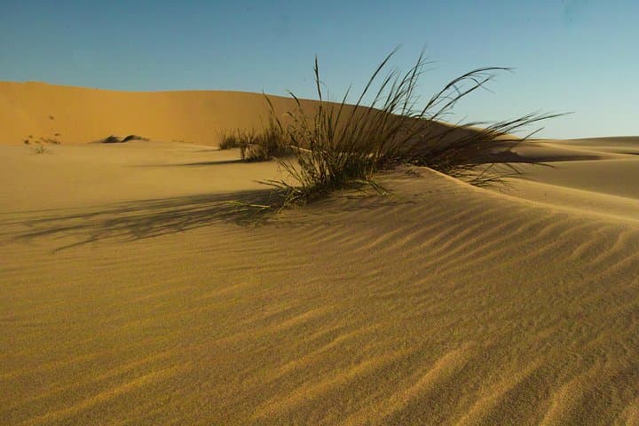 Sandwich Harbour Sunset Photography Tour: Namibia Dunes & Flamingos photo 5