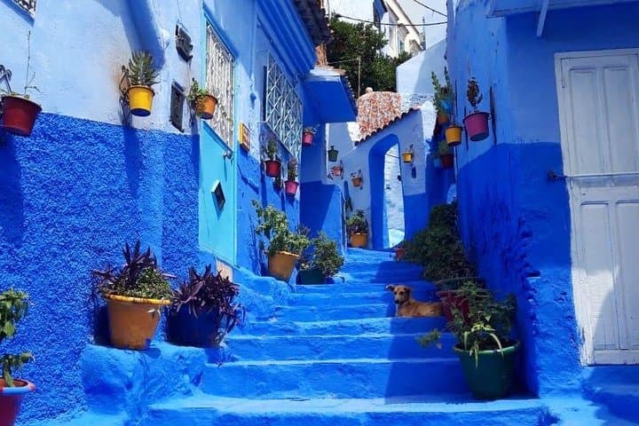 Fes to Chefchaouen Day Trip — Blue Medina & Rif Mountain Views photo 5