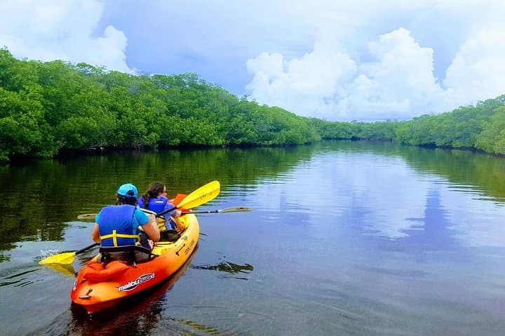 All-Day SUP & Kayak Rental: Paddle Key Largo's Mangrove Creeks