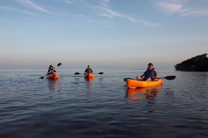 All-Day SUP & Kayak Rental: Paddle Key Largo's Mangrove Creeks photo 3