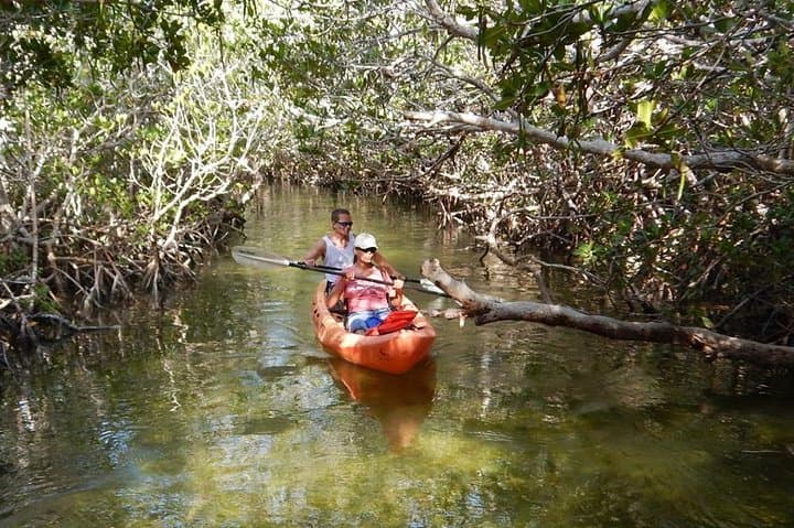 All-Day SUP & Kayak Rental: Paddle Key Largo's Mangrove Creeks photo 4