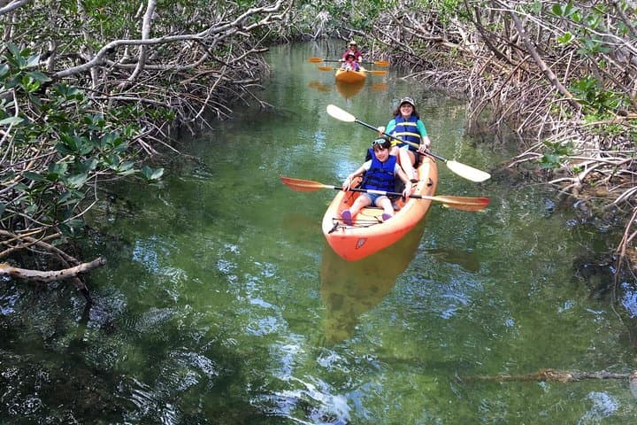 All-Day SUP & Kayak Rental: Paddle Key Largo's Mangrove Creeks photo 6