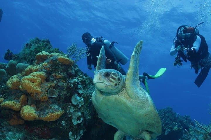 El Cielo Cozumel Snorkeling Day Trip from Playa del Carmen photo 4