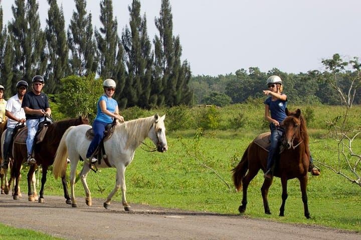 Hacienda Campo Rico Horseback Tour from San Juan — Scenic Countryside Ride
