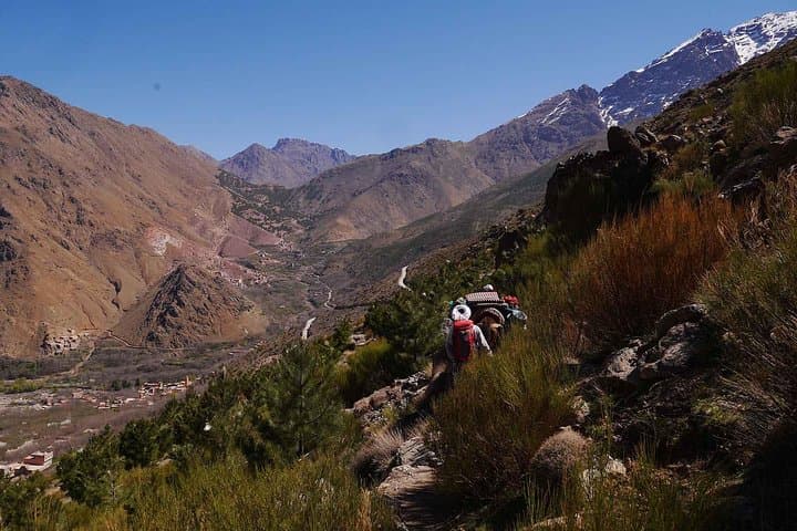 Imlil Day Trek and Lalla Takerkoust Lake with Camel Ride from Marrakech photo 6