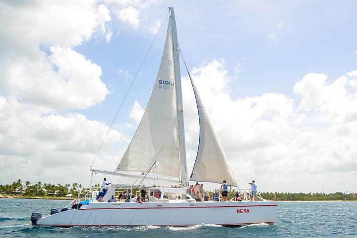 Saona Island Day Trip: Swim the Natural Pool and Beaches from Punta Cana photo 1