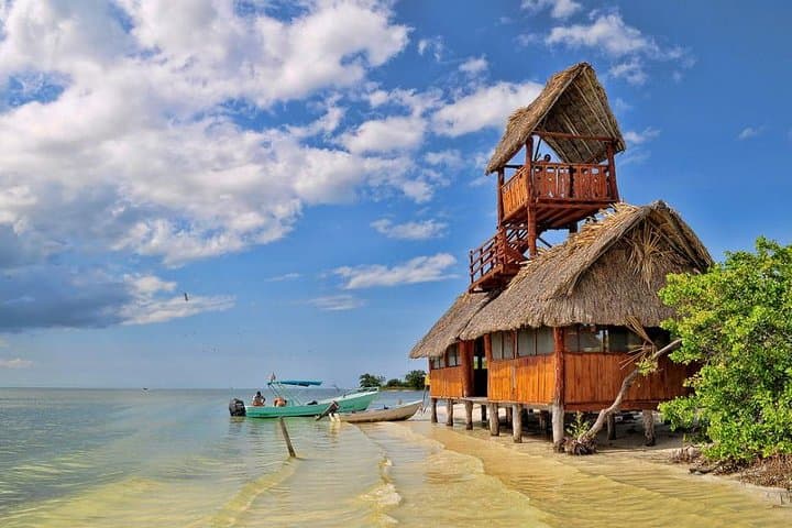 Holbox and Yalahau Cenote Day Tour from Playa del Carmen photo 4