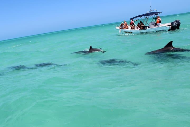 Holbox and Yalahau Cenote Day Tour from Playa del Carmen photo 2