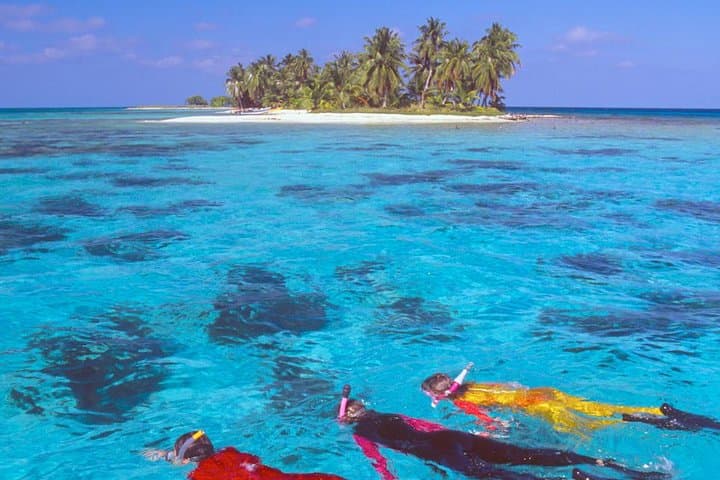 Holbox and Yalahau Cenote Day Tour from Playa del Carmen photo 5
