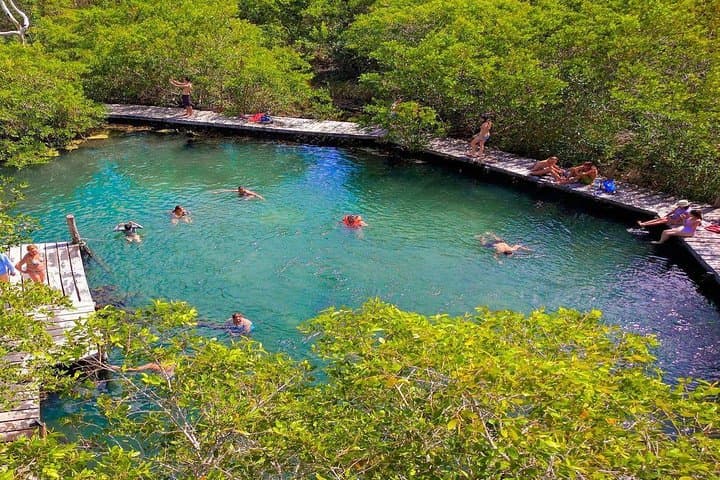 Holbox and Yalahau Cenote Day Tour from Playa del Carmen photo 6