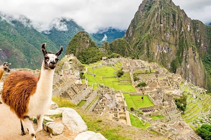 Machu Picchu by Train: Full-Day Guided Tour from Cusco photo 2
