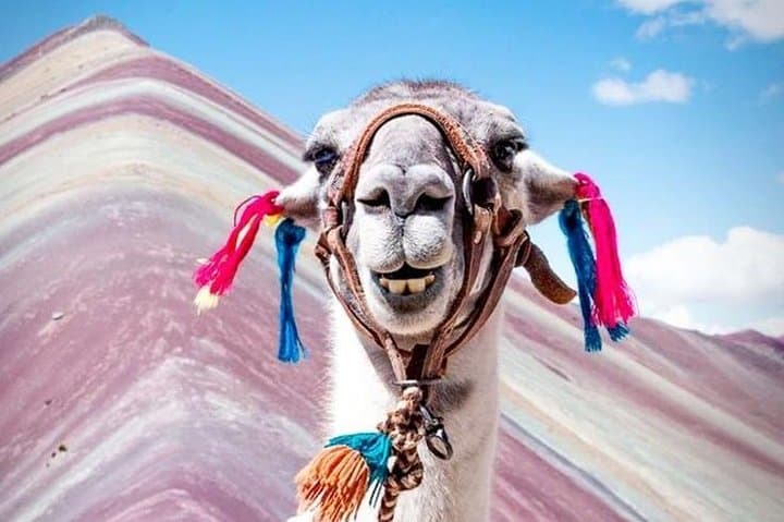 Rainbow Mountain (Vinicunca) Day Trek from Cusco — What to Expect at 5,020 m
