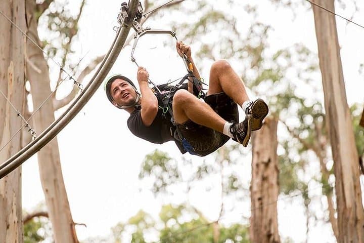 Great Ocean Road Surf Coast & Livewire Treetop Zipline Day Tour from Melbourne photo 3