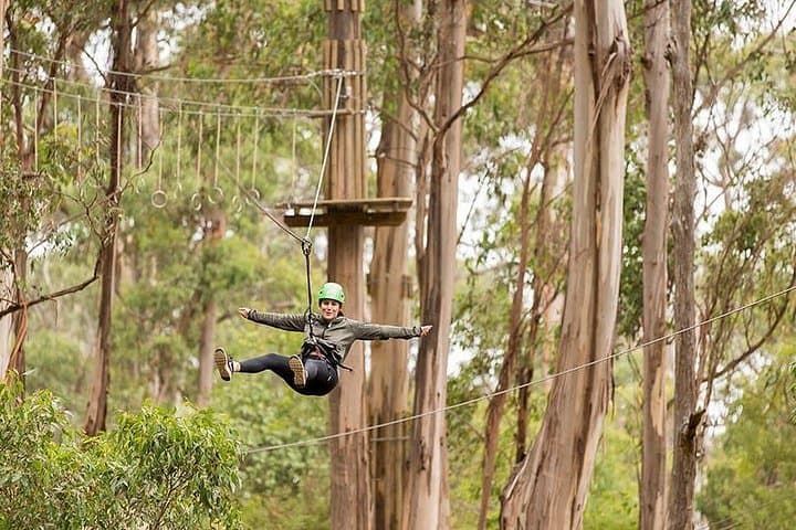 Great Ocean Road Surf Coast & Livewire Treetop Zipline Day Tour from Melbourne photo 4