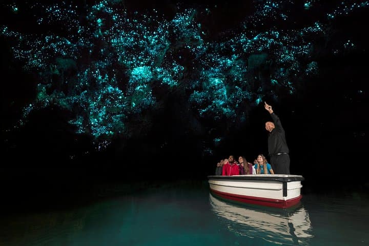 Hobbiton & Waitomo Caves Day Tour from Auckland — Small-Group Experience photo 5