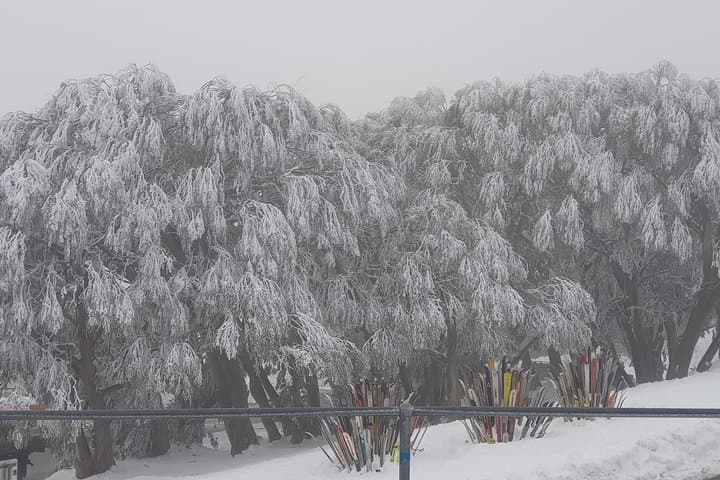 Mt Buller Day Trip from Melbourne: Full-Day Snow Experience photo 5