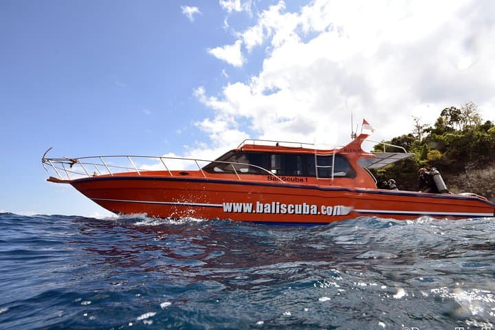 Nusa Penida 3-Dive Day Trip: Mantas, Molas and Rugged Drift Reefs from Sanur photo 2